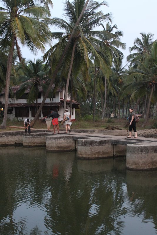 and then cross the bridge and the coconut grove to get to the road.